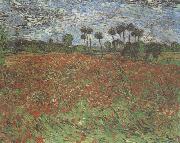 Field with Poppies (nn04)